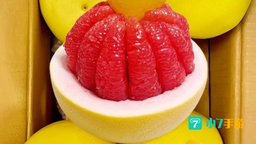 蜜柚app直播下载