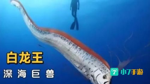 深海巨腹鱼