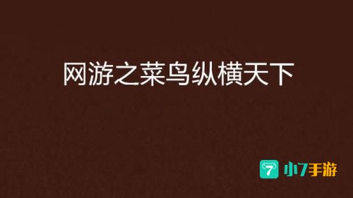 网游之菜鸟高手