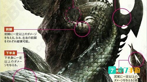 蛇王龙