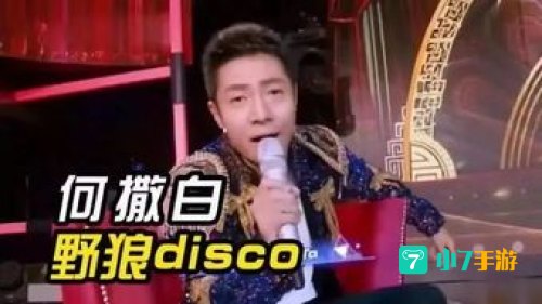 撒贝宁野狼disco