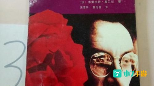 铁玫瑰