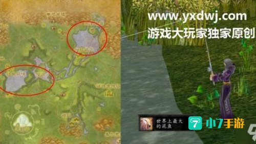 世界上最大的泥鱼